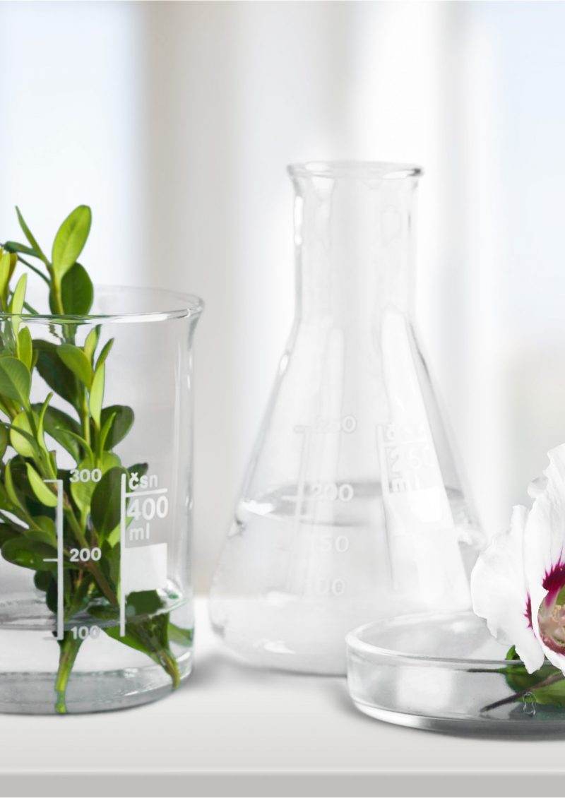 Cosmetic science holistic plant lab organic skin